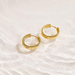 Golden Hoop Earrings